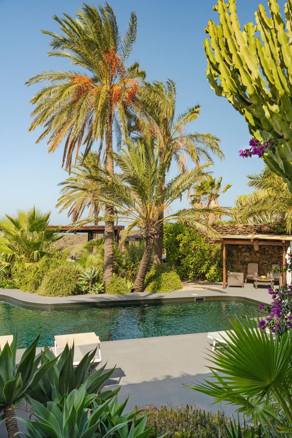 Property building, Summer, Solarium, View (from property/room), Garden view, Pool view, Swimming pool, sunbed