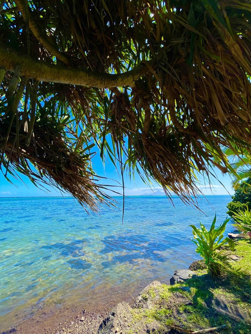Day, Natural landscape, Sea view