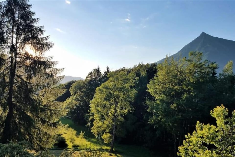 Petit mazot à la montagne pour 2 personnes House in Haute-Savoie