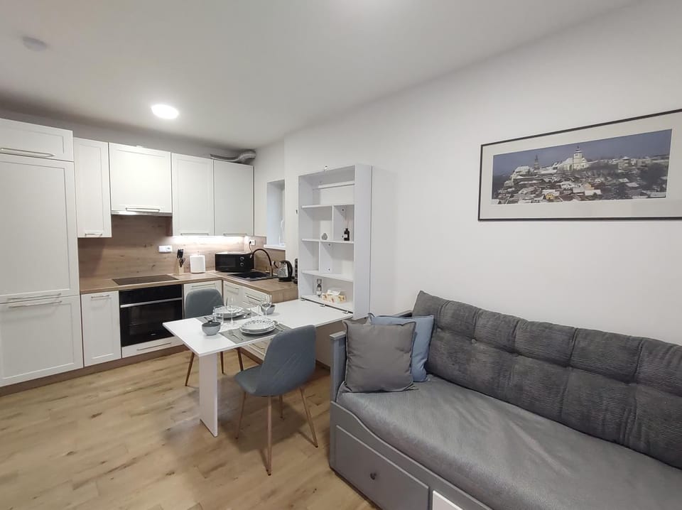 Kitchen or kitchenette, Living room, Seating area, stove