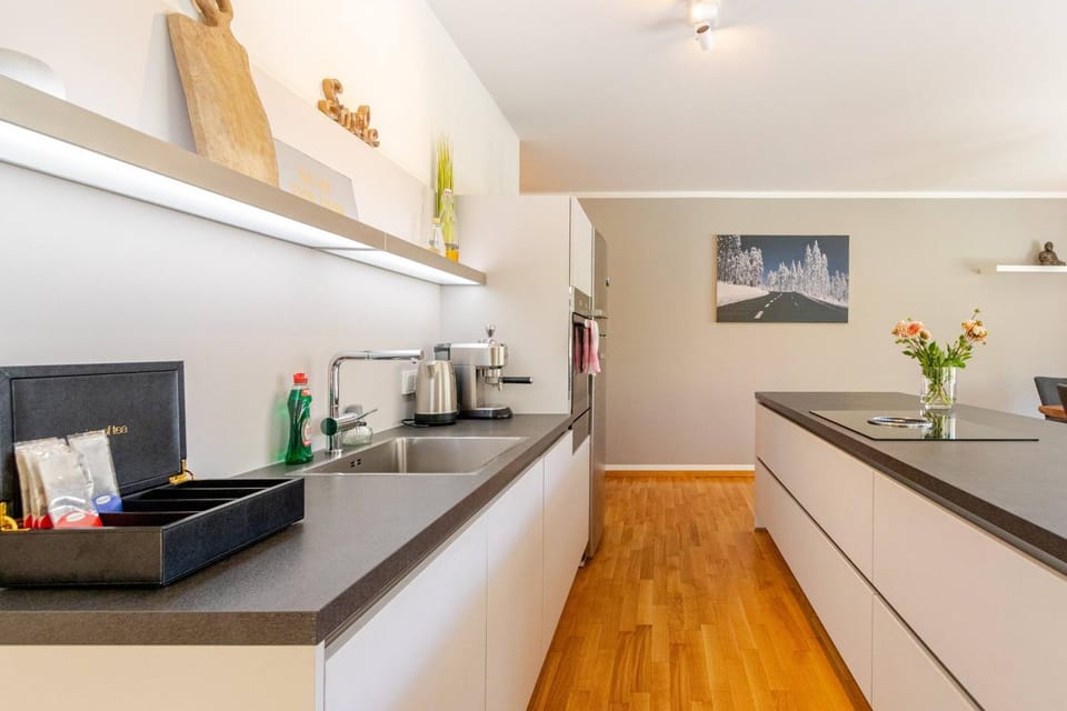 Kitchen or kitchenette, stove, kitchen