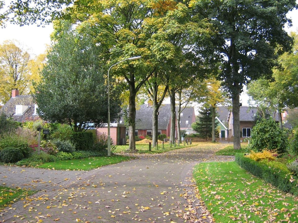 Area and facilities
