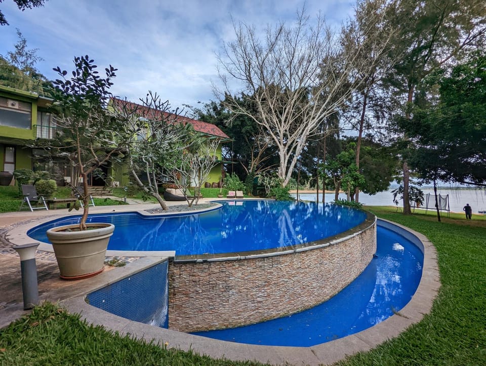 Spring, Day, Natural landscape, Garden, Garden view, Pool view, Swimming pool