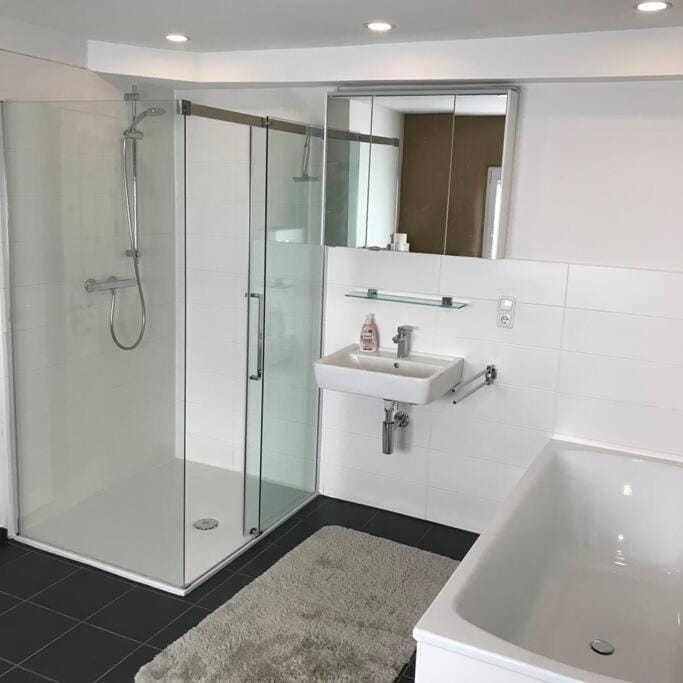 Ferienwohnung Felinenhof Apartment in Euskirchen