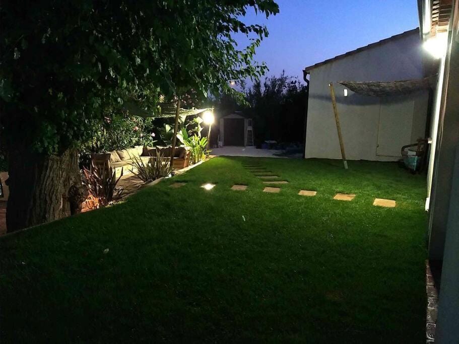Night, Garden, Garden view