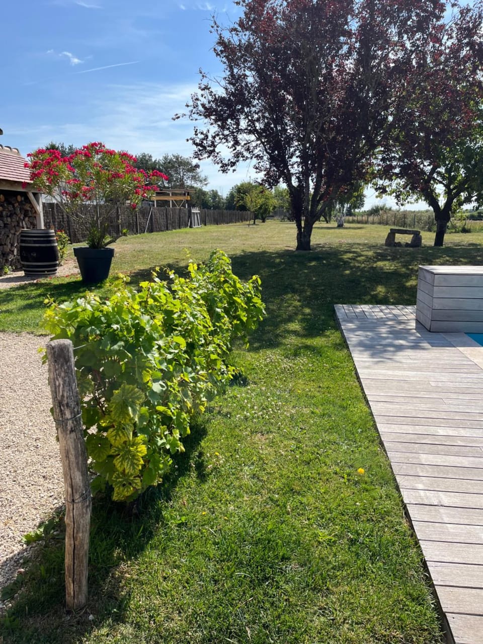 Spring, Natural landscape, Garden, Garden view