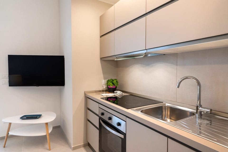 TV and multimedia, Kitchen or kitchenette, dishwasher, pet friendly, stove