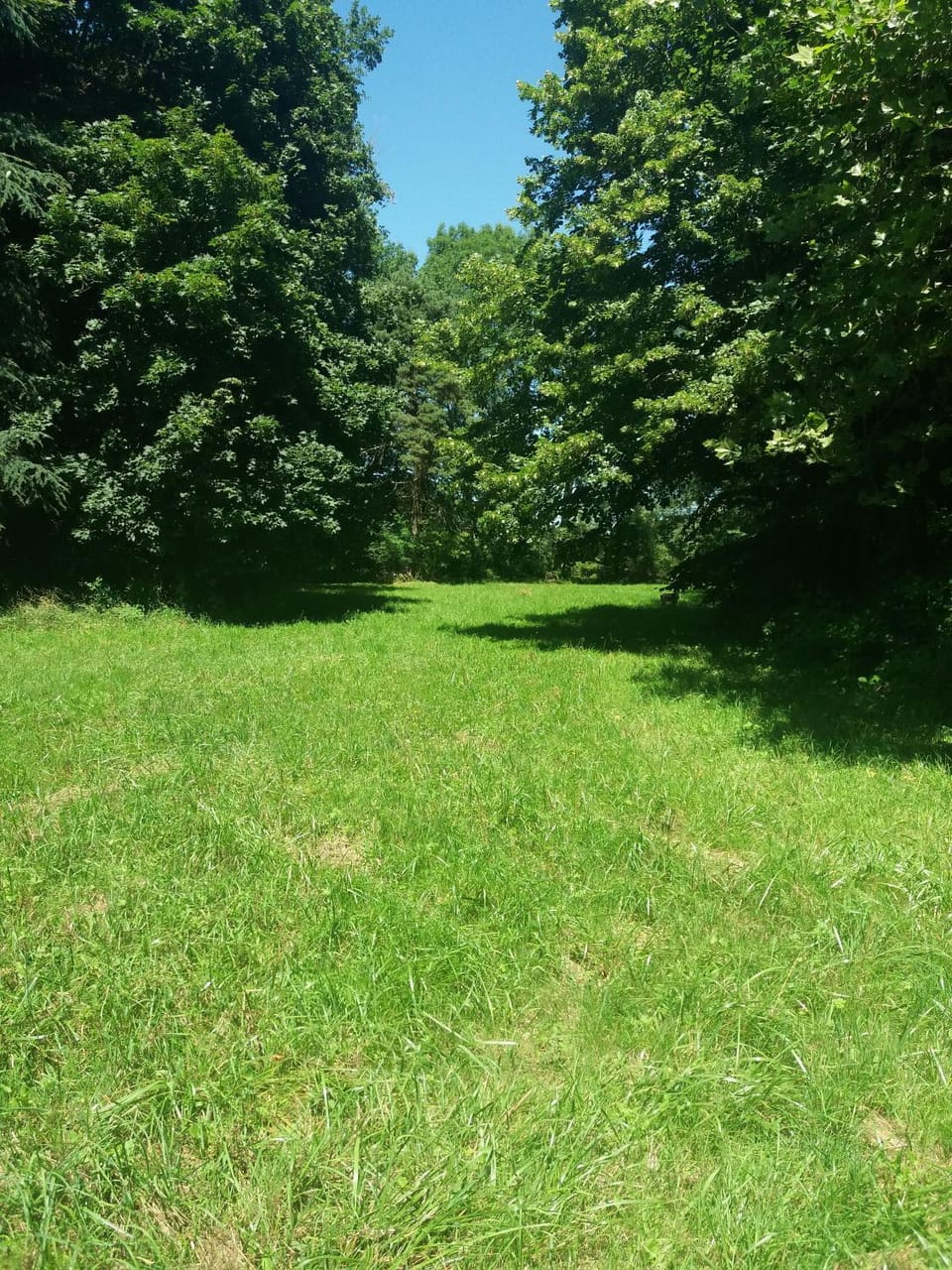 Garden, Other