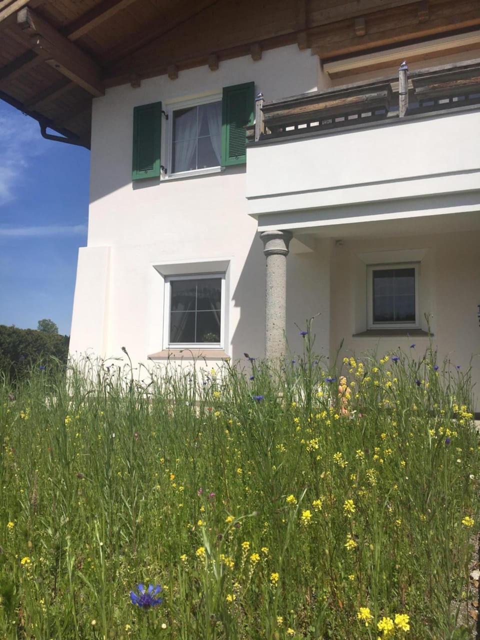 Property building, Garden
