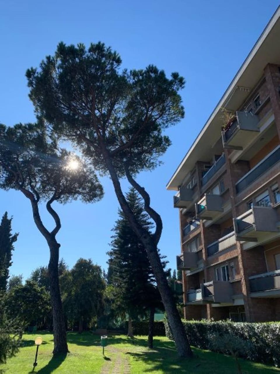 Laura Sweet Home con Piscina Apartment in Rome