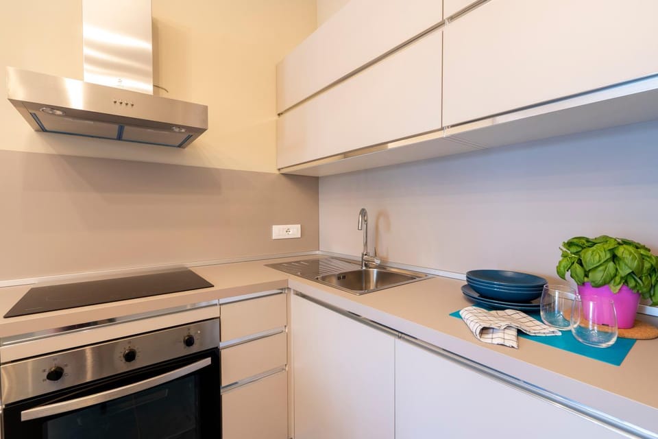 Kitchen or kitchenette, dishwasher, pet friendly, stove