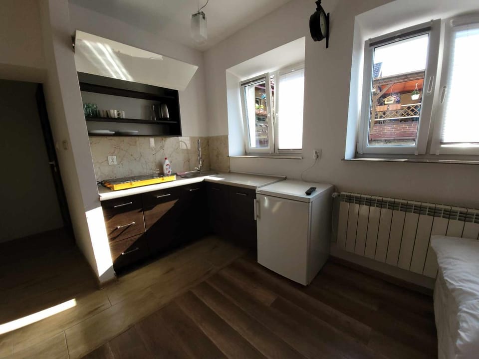 Kitchen or kitchenette, pet friendly