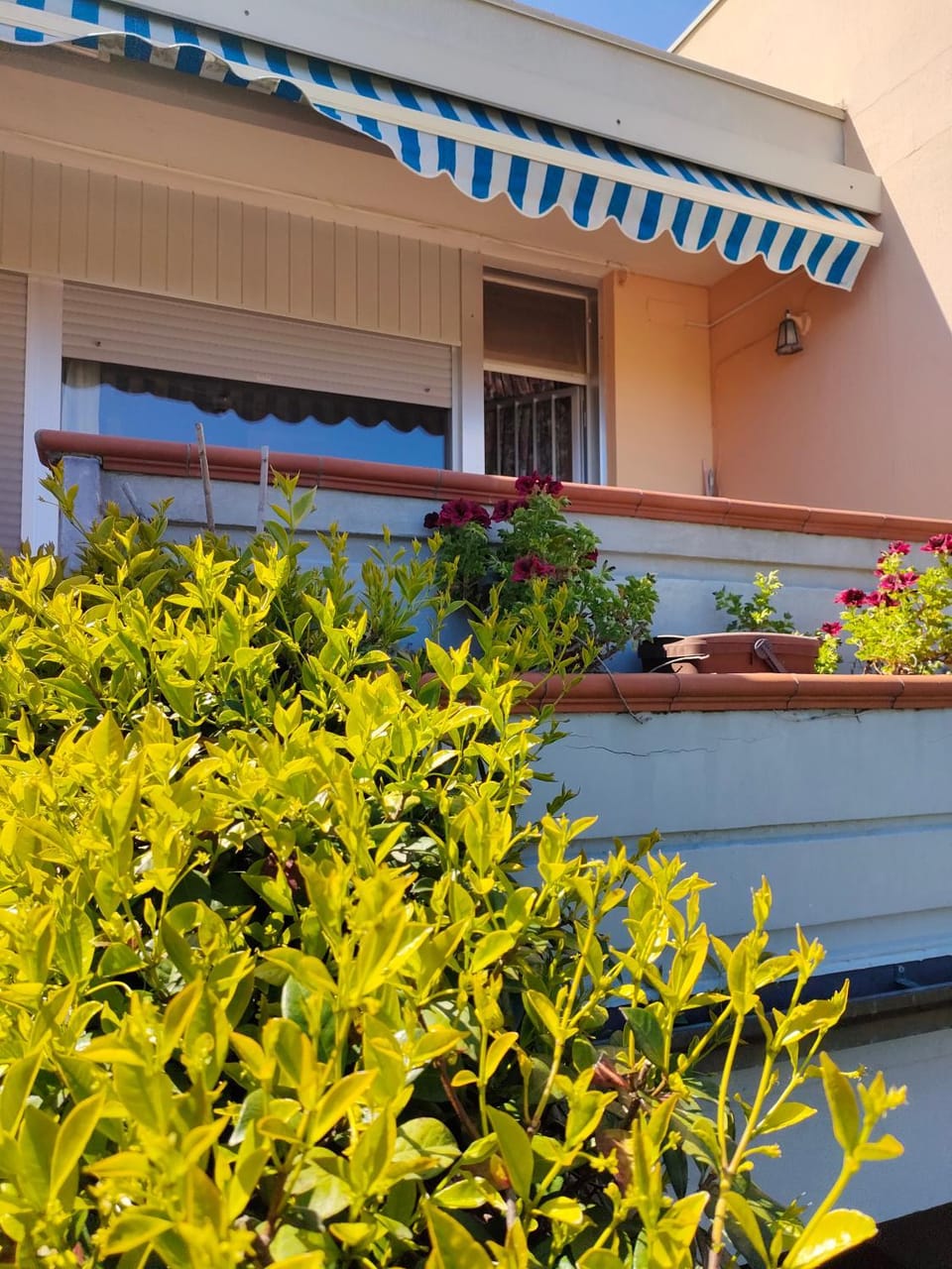 Property building, Balcony/Terrace