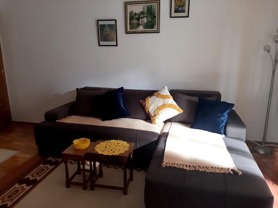 Zlatni apartman Apartment in Serbia
