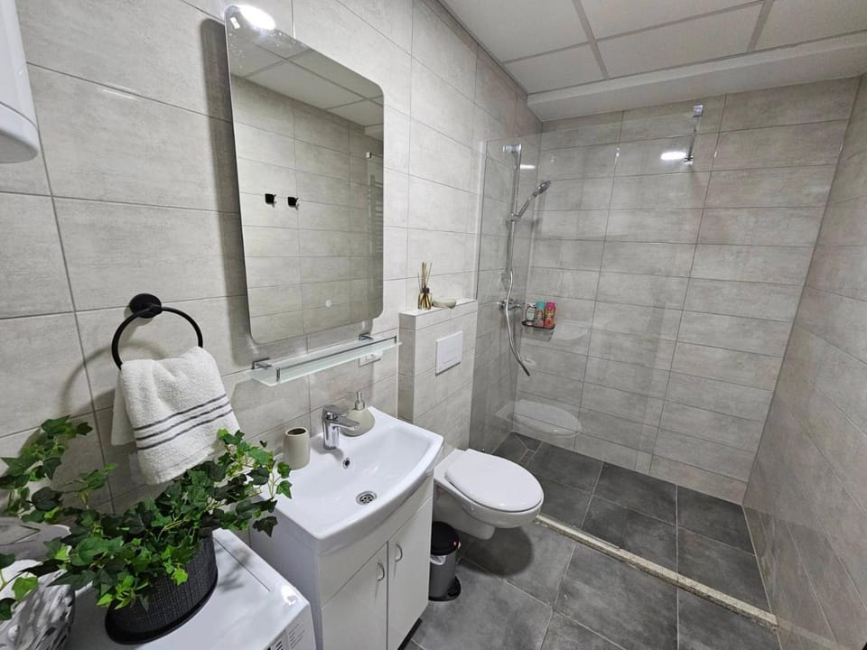 Shower, Toilet, Bathroom, towels