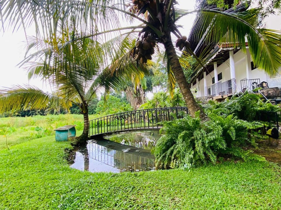 Mudalige Dream Paradise Bed and Breakfast in Southern Province