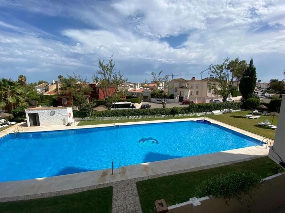 Pool view, Swimming pool