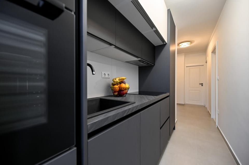 Kitchen or kitchenette, minibar, pet friendly, stove