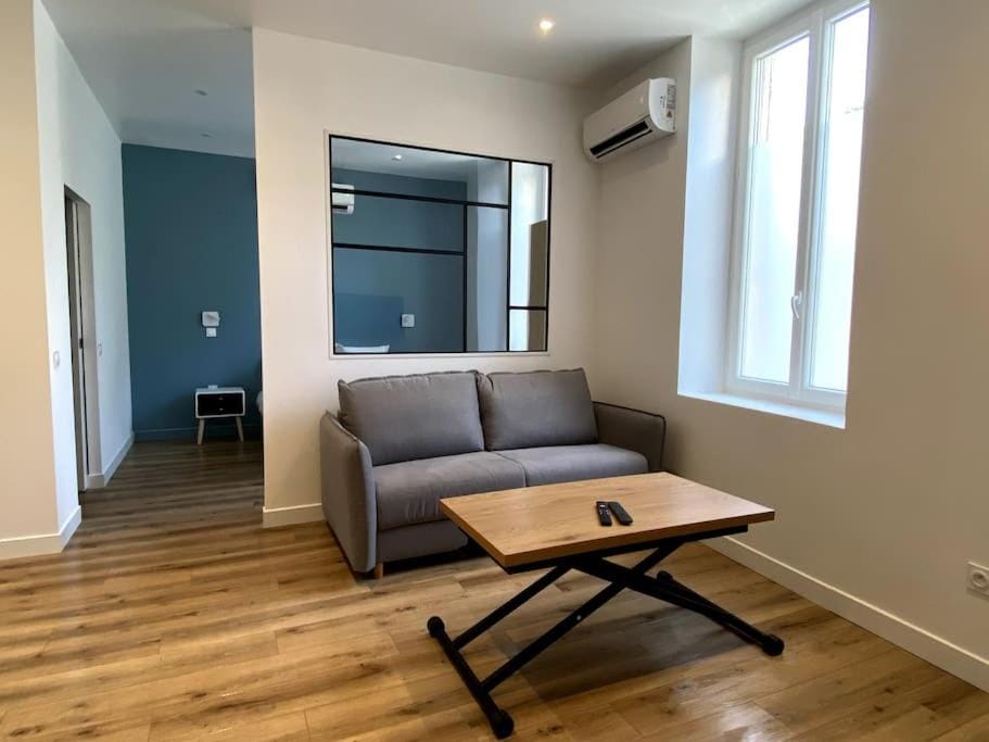 LA PERLE BLEUE, Centre ville Valence,Proche gare Apartment in Valence