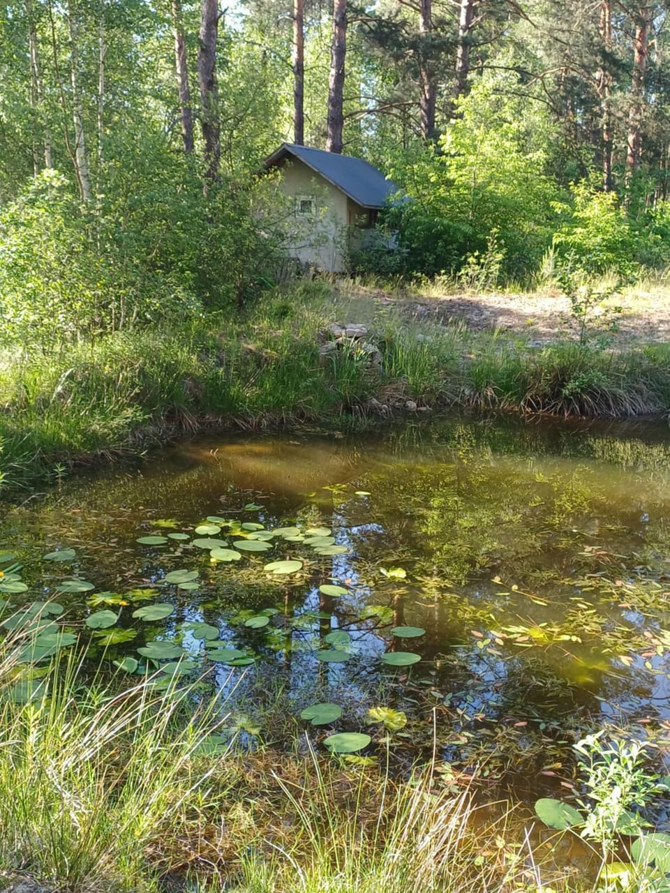 Domek w lesie House in Lviv Oblast