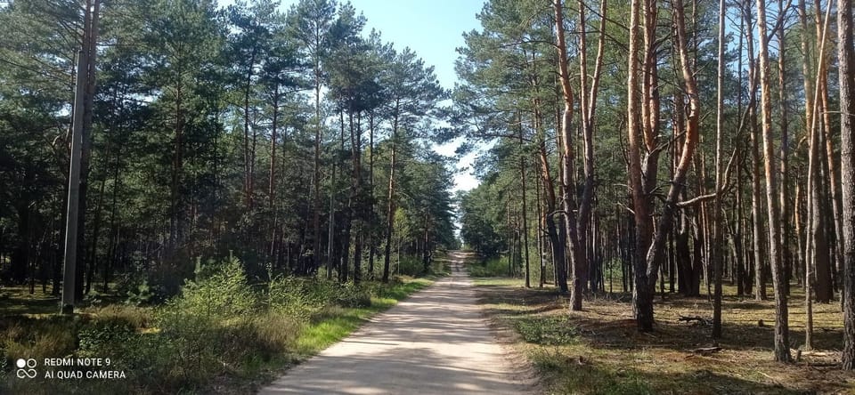 Serock okolice - Domek przy stajni i dębowym lesie House in Masovian Voivodeship