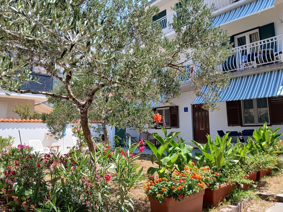 Garden, Garden view