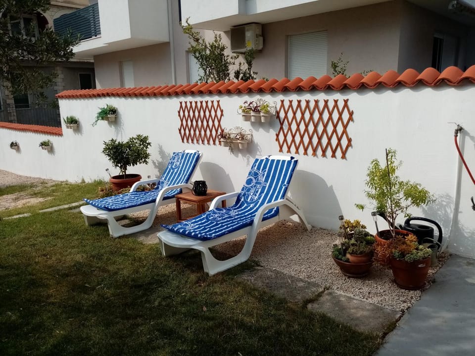 Garden, Garden view, sunbed