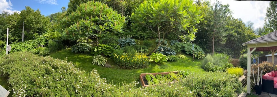 Garden view, Mountain view