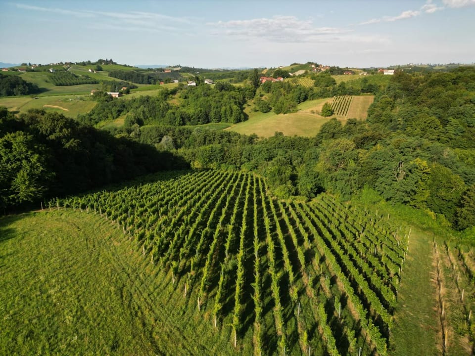 Ruralna kuća za odmor Julijana House in Croatia