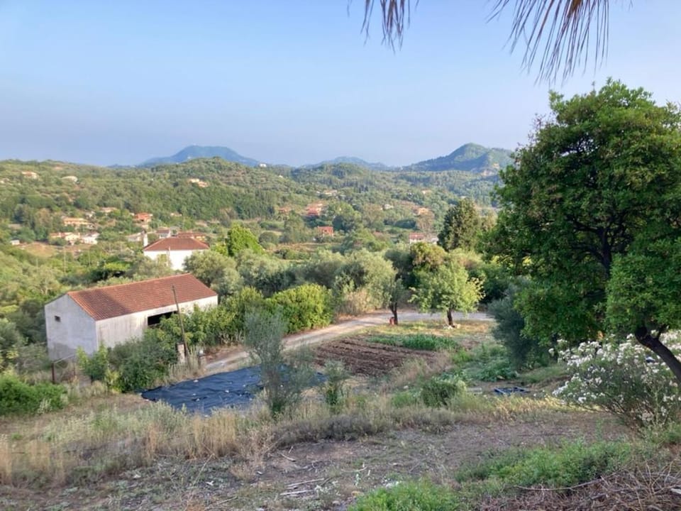 Natural landscape, View (from property/room), Garden view