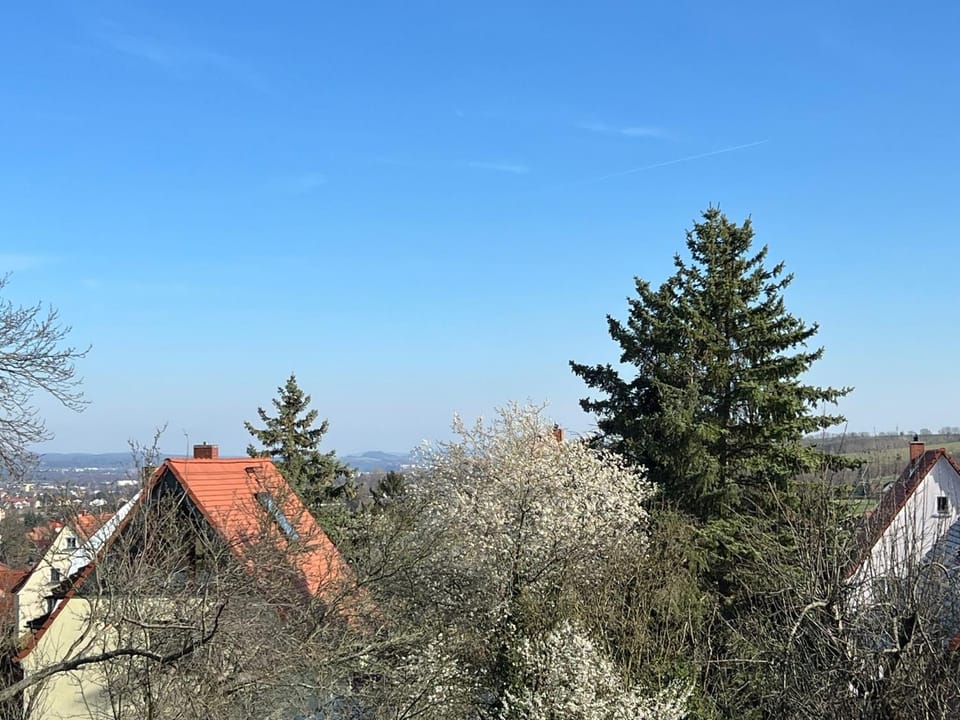 Property building, Day, Natural landscape, View (from property/room), Dining area, Mountain view