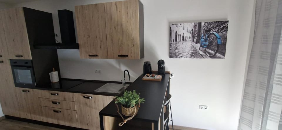 City center apartment Stella Apartment in Brod-Posavina County, Croatia