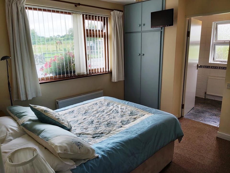 Valley Lodge Room Only Guest House Bed and Breakfast in County Mayo