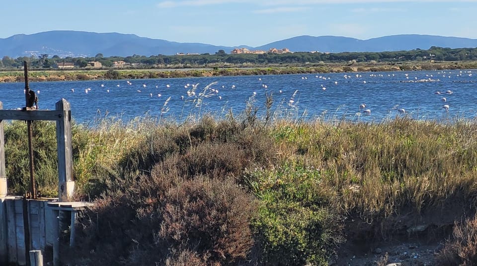 Natural landscape