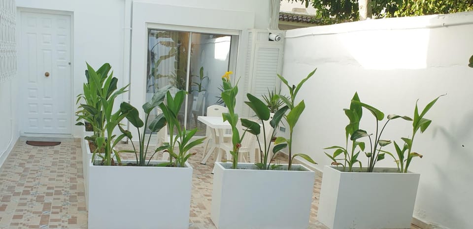 Patio, Day, Garden, Garden view