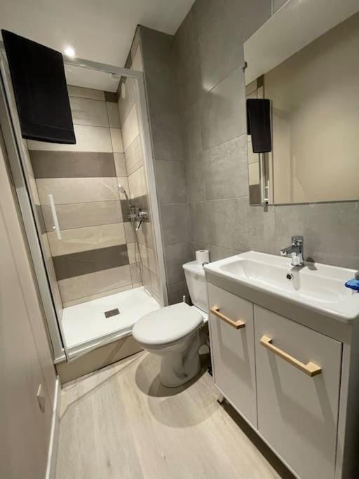 Shower, Toilet, Bathroom, towels