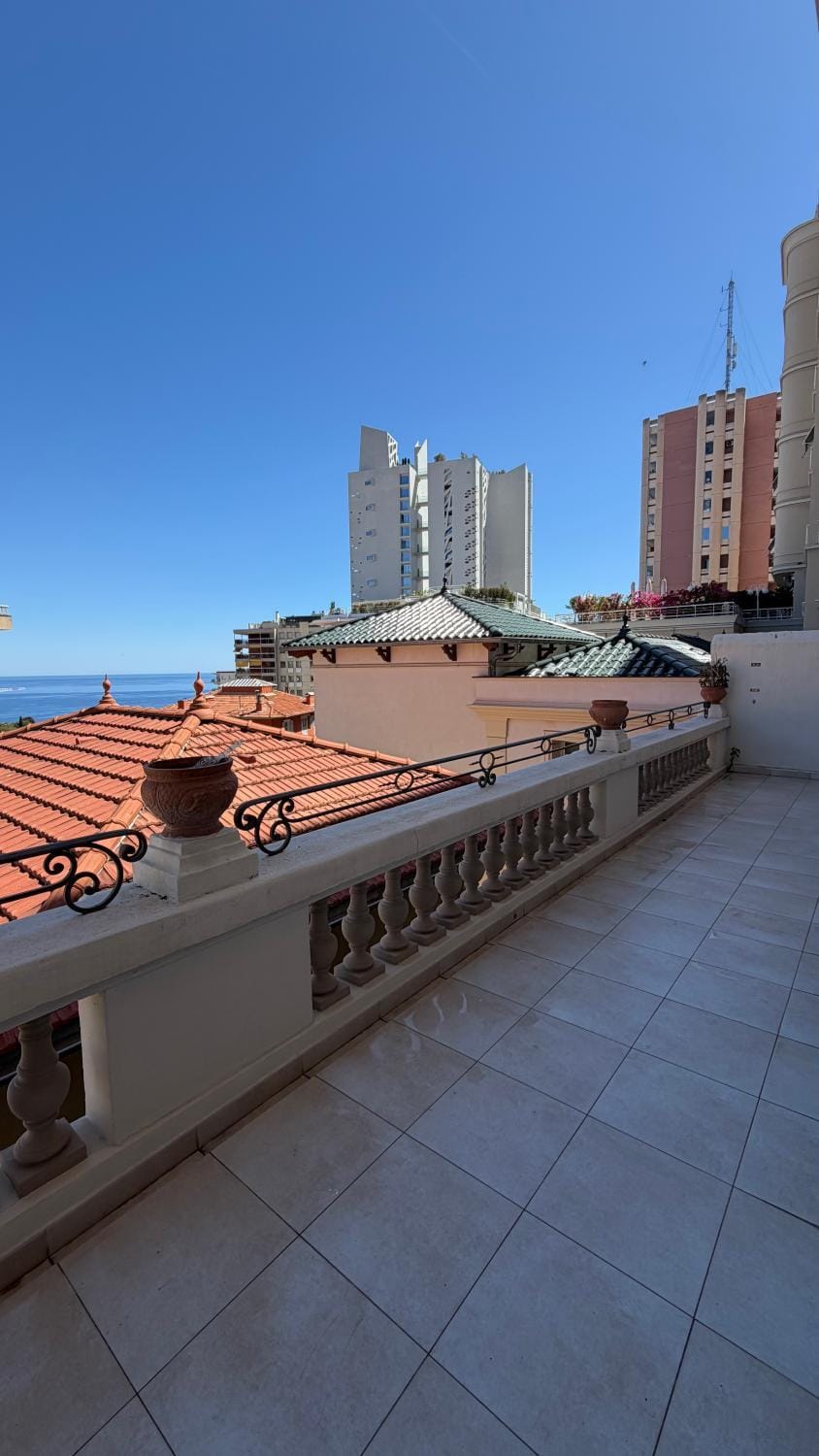 Monaco entire flat with spectacular terrace and sea view Apartment in Monaco