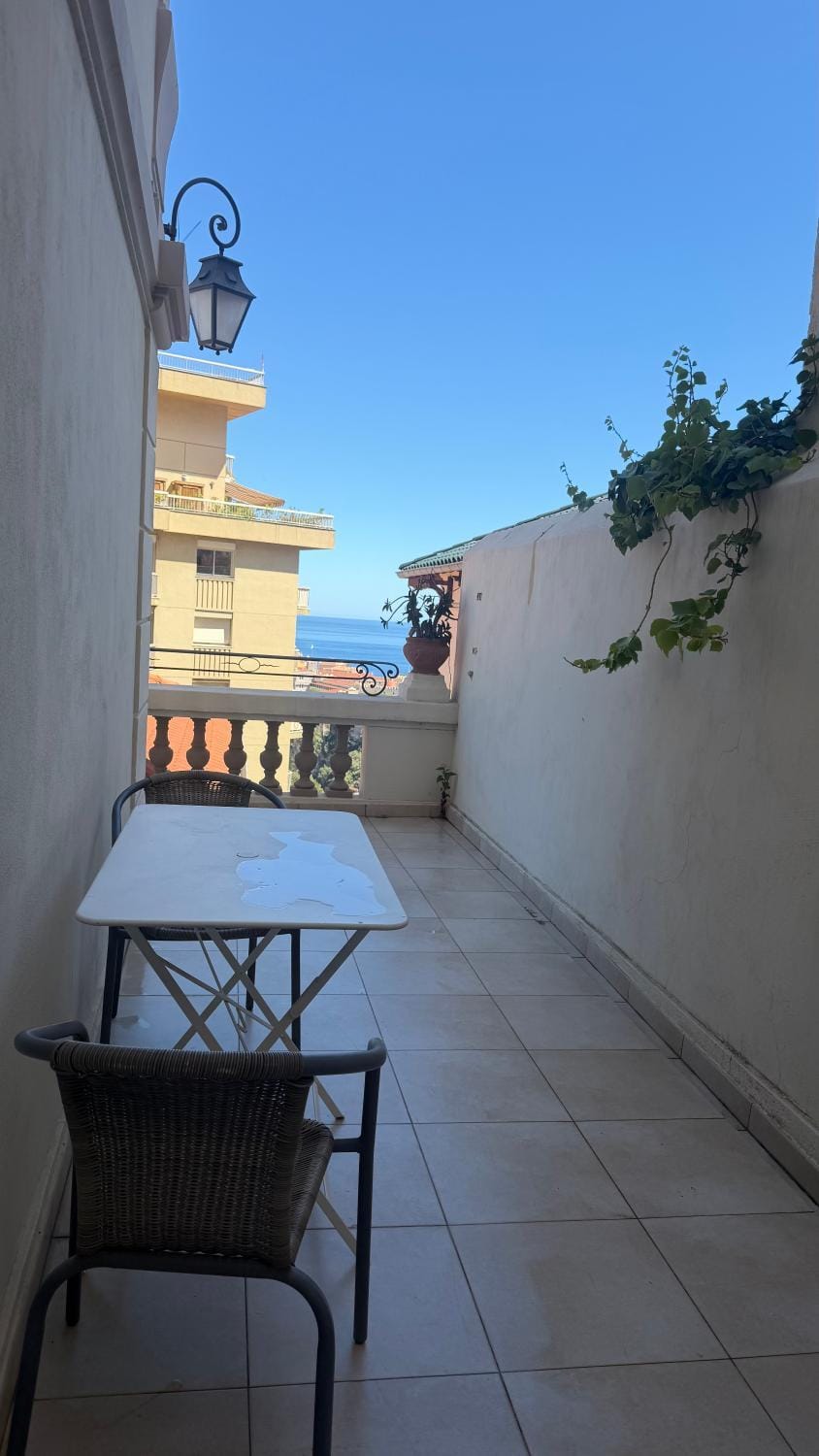 Monaco entire flat with spectacular terrace and sea view Apartment in Monaco