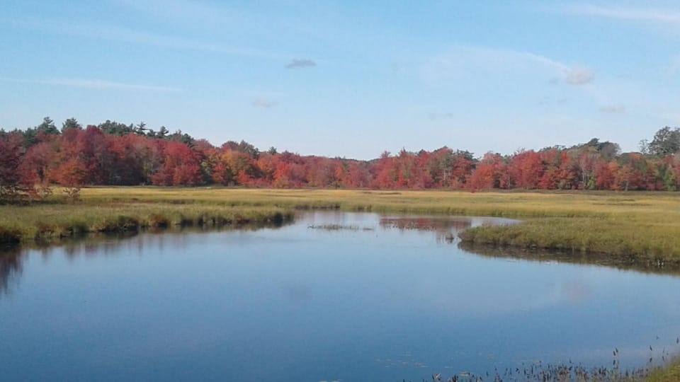 Natural landscape