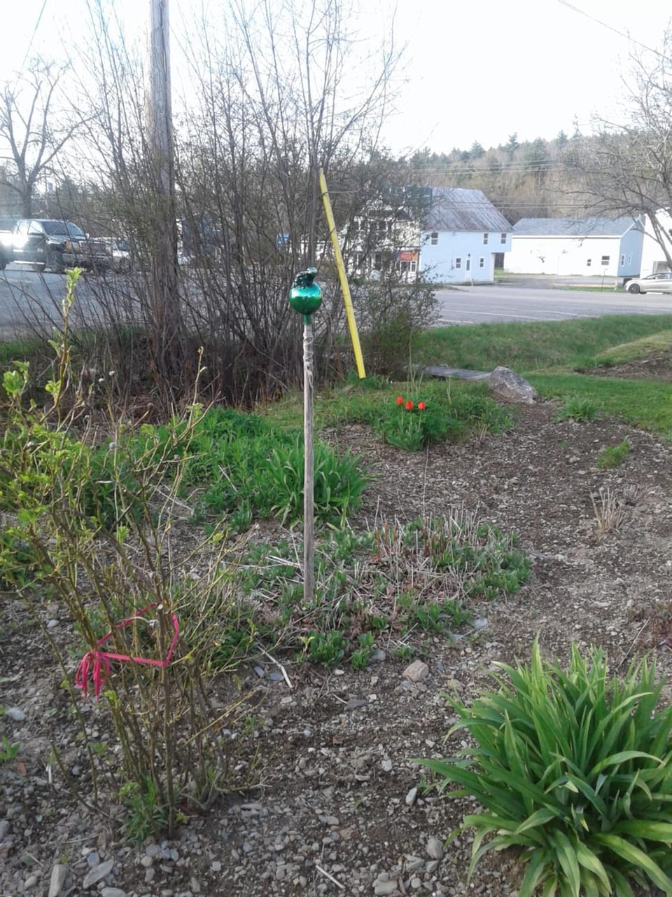 Garden, Garden view