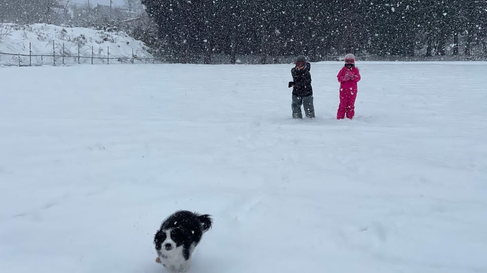 Winter