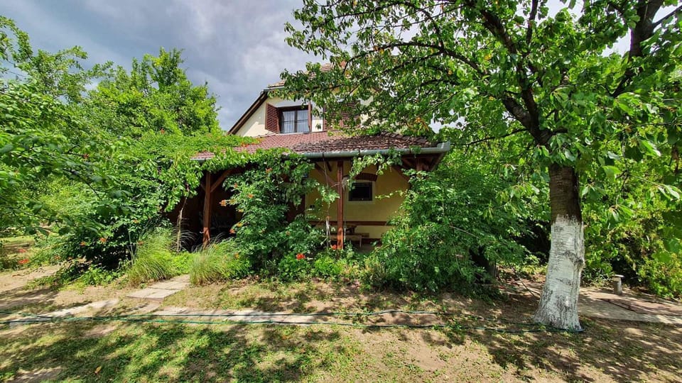 Property building, Summer