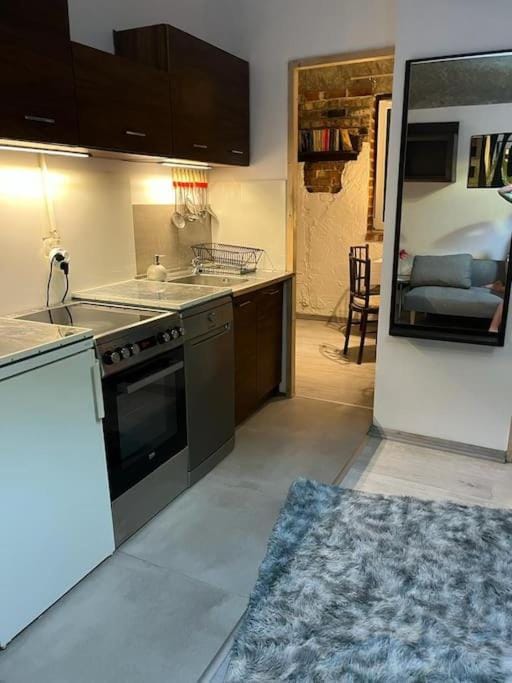 Kitchen or kitchenette, dishwasher, stove