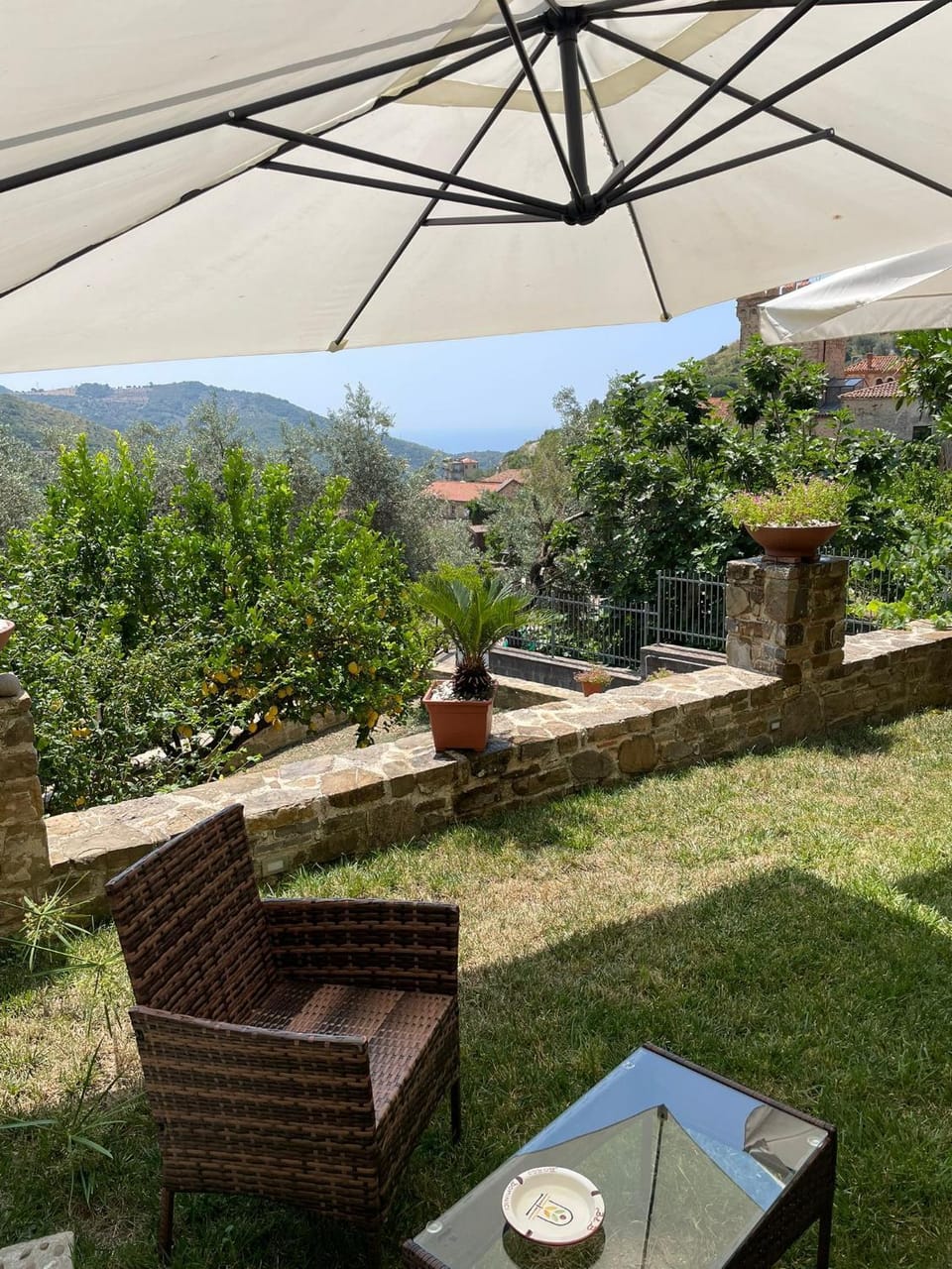 Day, Garden, Garden view
