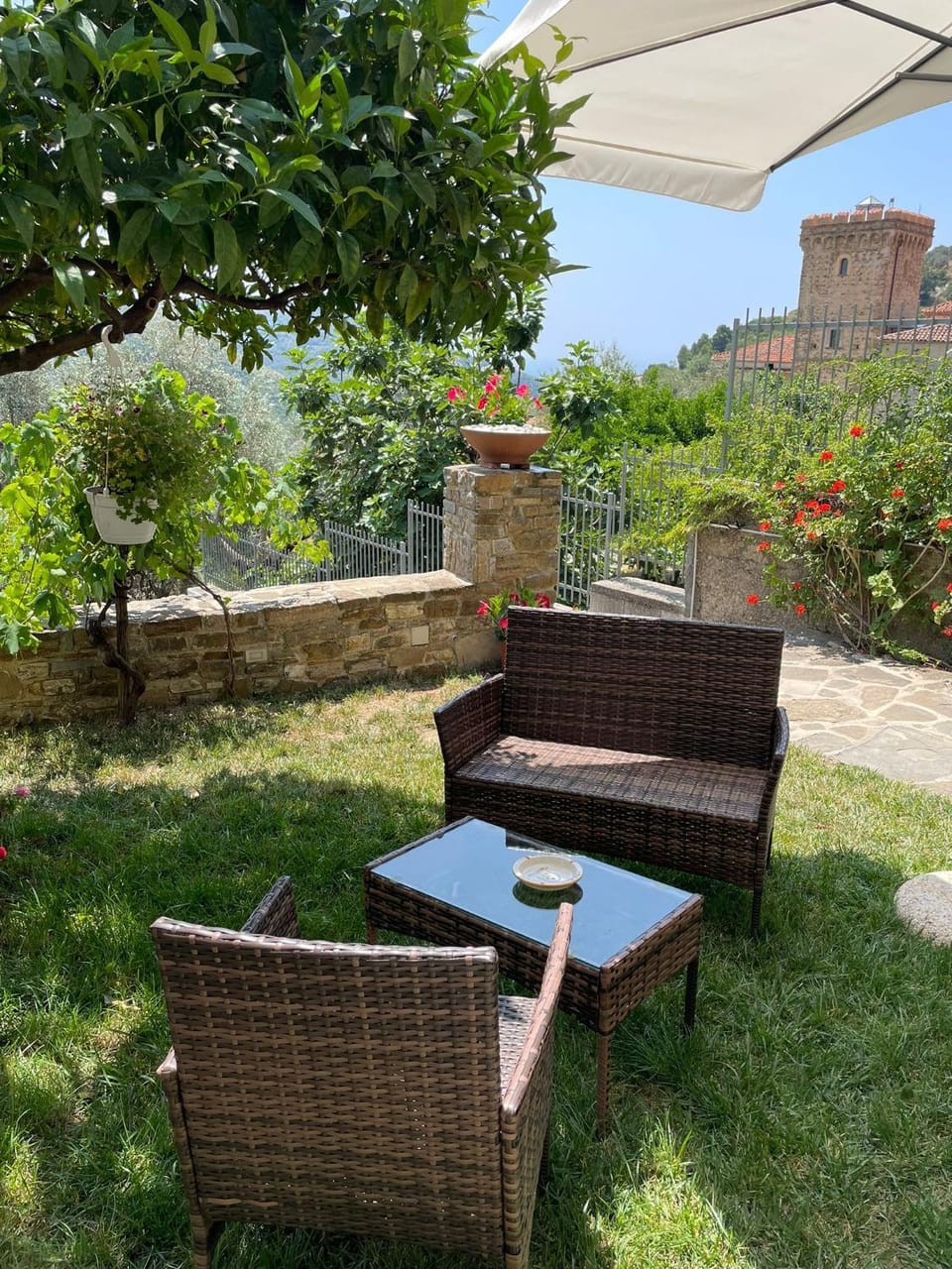 Natural landscape, Garden, Breakfast