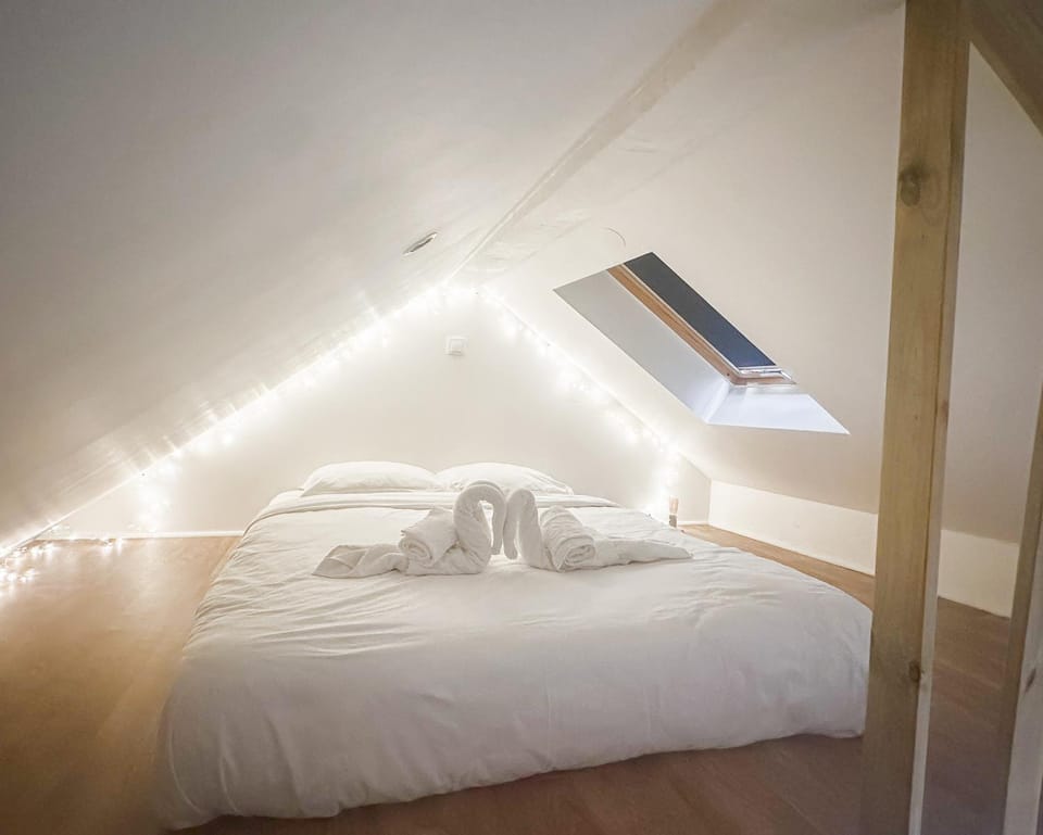 Litchi lovely loft with AC rue du Paquier Apartment in Annecy