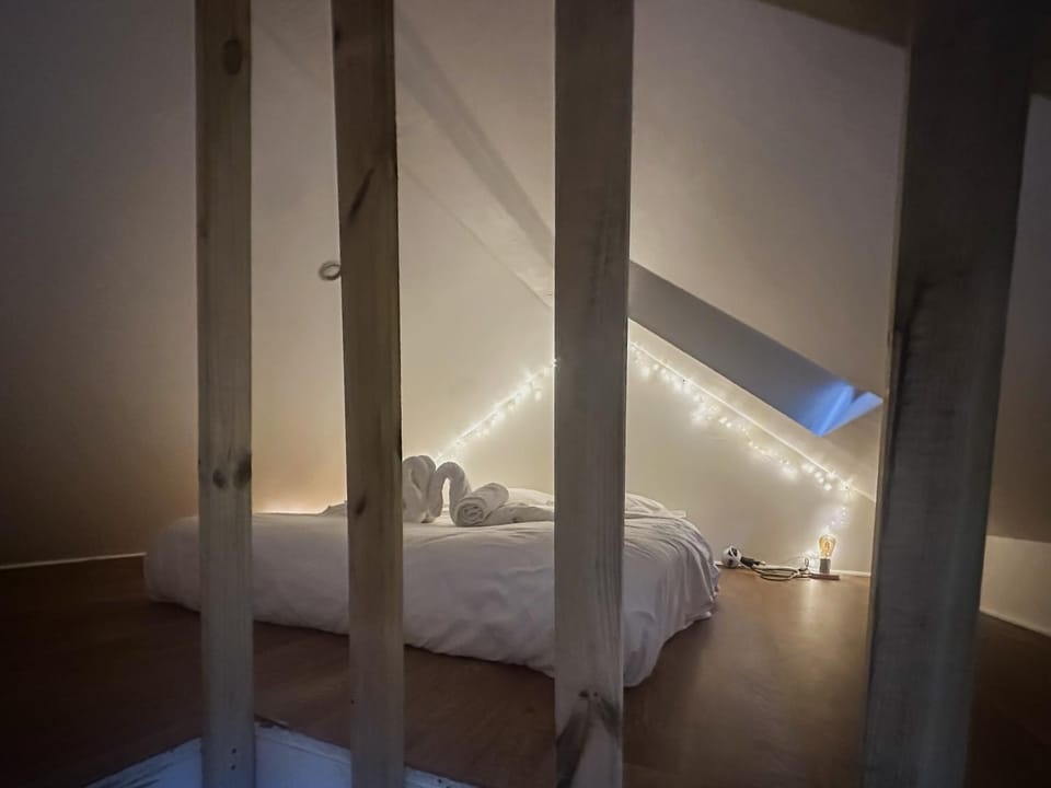Litchi lovely loft with AC rue du Paquier Apartment in Annecy