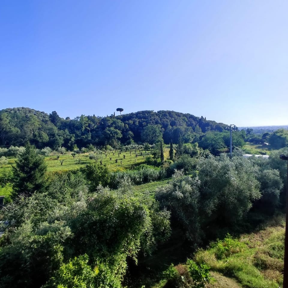 View (from property/room)