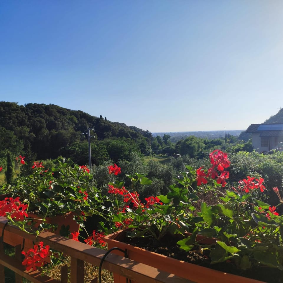 View (from property/room)