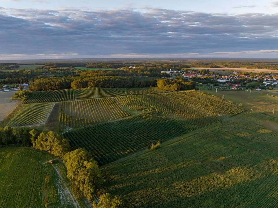 Natural landscape, Bird's eye view